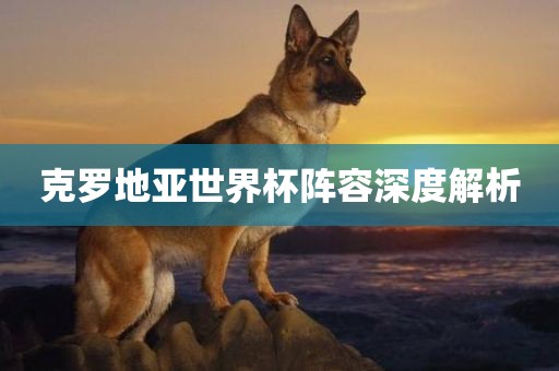克罗地亚世界杯阵容深度解析