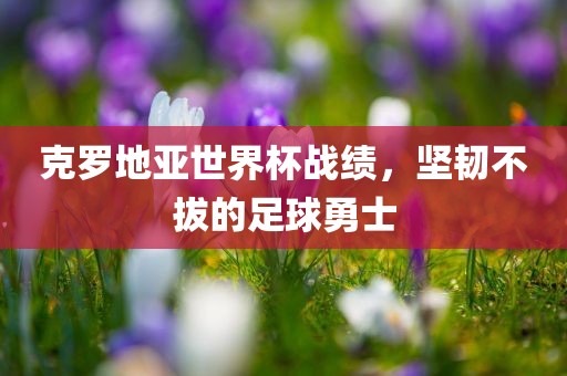 克罗地亚世界杯战绩，坚韧不拔的足球勇士