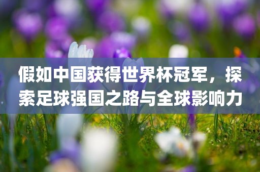 假如中国获得世界杯冠军，探索足球强国之路与全球影响力