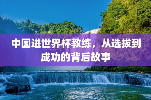 中国进世界杯教练，从选拔到成功的背后故事