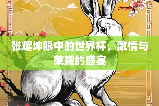 张耀坤眼中的世界杯，激情与荣耀的盛宴