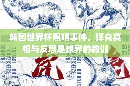 韩国世界杯黑哨事件，探究真相与反思足球界的教训