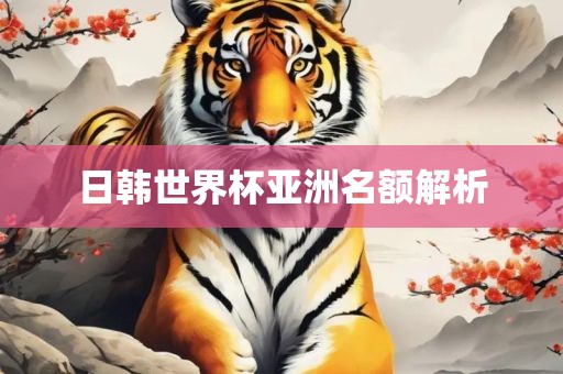 日韩世界杯亚洲名额解析