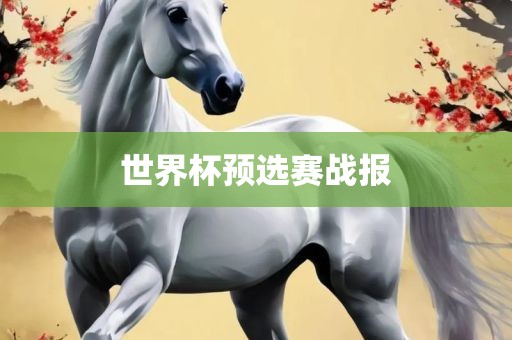 世界杯预选赛战报