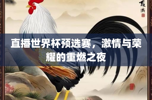 直播世界杯预选赛，激情与荣耀的重燃之夜