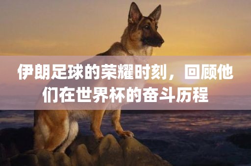 伊朗足球的荣耀时刻，回顾他们在世界杯的奋斗历程