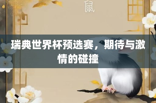 瑞典世界杯预选赛，期待与激情的碰撞