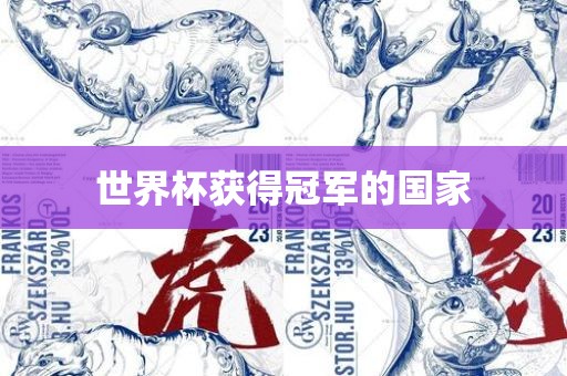世界杯获得冠军的国家