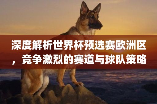 深度解析世界杯预选赛欧洲区，竞争激烈的赛道与球队策略