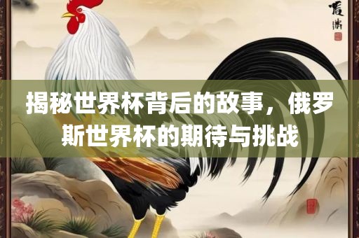 揭秘世界杯背后的故事，俄罗斯世界杯的期待与挑战