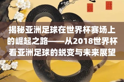 揭秘亚洲足球在世界杯赛场上的崛起之路——从2018世界杯看亚洲足球的蜕变与未来展望