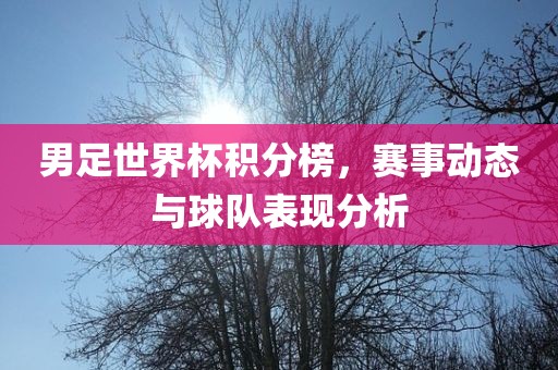 男足世界杯积分榜，赛事动态与球队表现分析