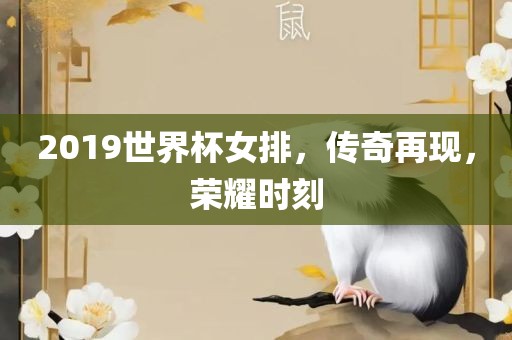 2019世界杯女排，传奇再现，荣耀时刻