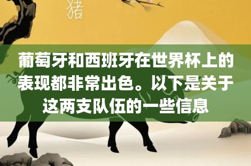 葡萄牙和西班牙在世界杯上的表现都非常出色。以下是关于这两支队伍的一些信息