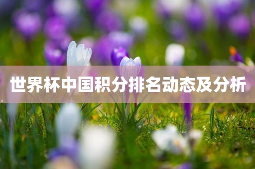 世界杯中国积分排名动态及分析