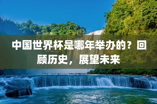 中国世界杯是哪年举办的？回顾历史，展望未来