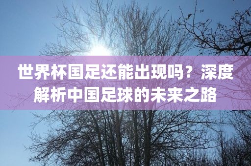 世界杯国足还能出现吗？深度解析中国足球的未来之路