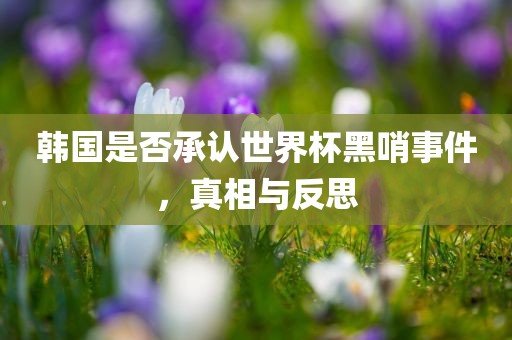 韩国是否承认世界杯黑哨事件，真相与反思
