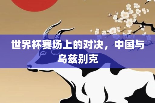 世界杯赛场上的对决，中国与乌兹别克