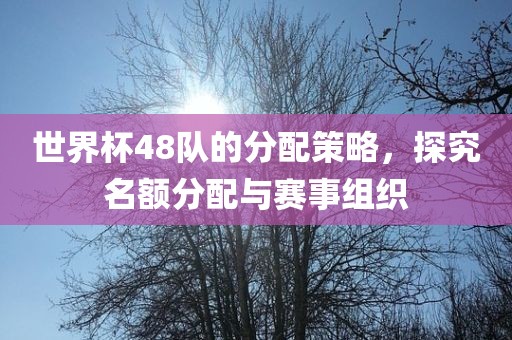 世界杯48队的分配策略，探究名额分配与赛事组织