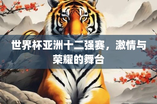 世界杯亚洲十二强赛，激情与荣耀的舞台