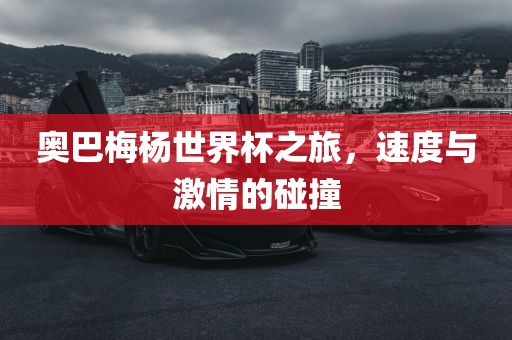 奥巴梅杨世界杯之旅，速度与激情的碰撞