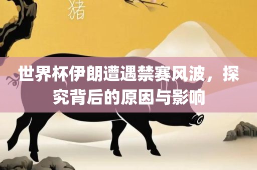 世界杯伊朗遭遇禁赛风波，探究背后的原因与影响
