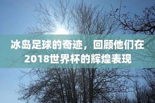 冰岛足球的奇迹，回顾他们在2018世界杯的辉煌表现