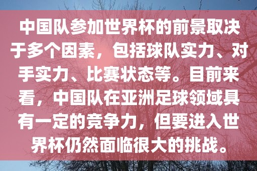 中国队参加世界杯的前景取决于多个因素，包括球队实力、对手实力、比赛状态等。目前来看，中国队在亚洲足球领域具有一定的竞争力，但要进入世界杯仍然面临很大的挑战。