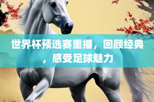 世界杯预选赛重播，回顾经典，感受足球魅力