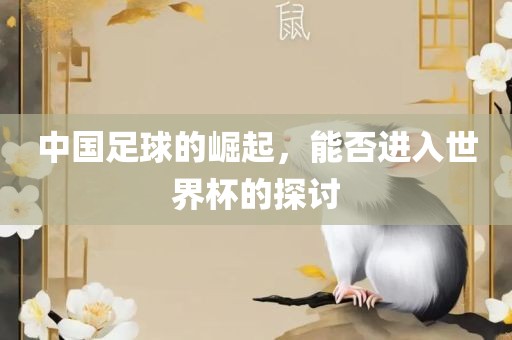 中国足球的崛起，能否进入世界杯的探讨