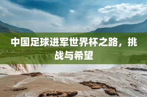 中国足球进军世界杯之路，挑战与希望