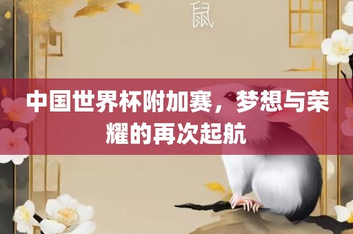 中国世界杯附加赛，梦想与荣耀的再次起航