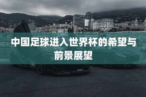 中国足球进入世界杯的希望与前景展望