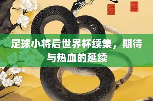 足球小将后世界杯续集，期待与热血的延续