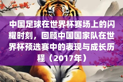 中国足球在世界杯赛场上的闪耀时刻，回顾中国国家队在世界杯预选赛中的表现与成长历程（2017年）