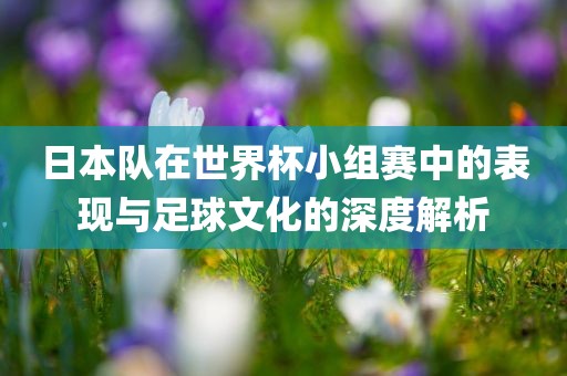 日本队在世界杯小组赛中的表现与足球文化的深度解析