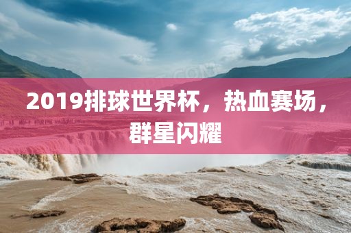 2019排球世界杯，热血赛场，群星闪耀