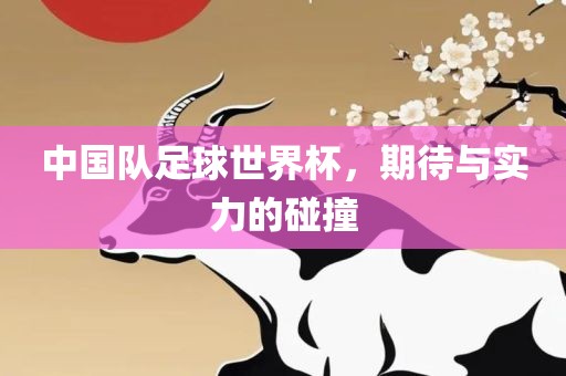 中国队足球世界杯，期待与实力的碰撞