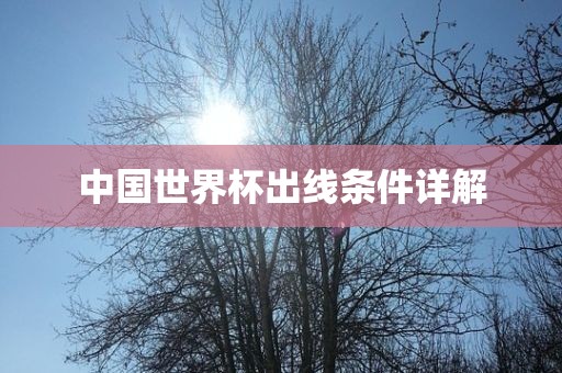 中国世界杯出线条件详解