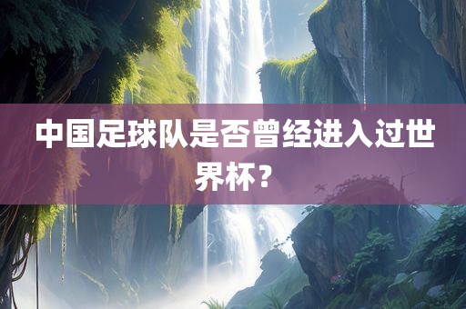 中国足球队是否曾经进入过世界杯？