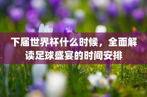 下届世界杯什么时候，全面解读足球盛宴的时间安排