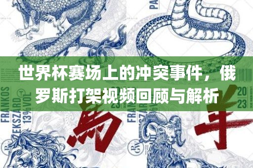 世界杯赛场上的冲突事件，俄罗斯打架视频回顾与解析