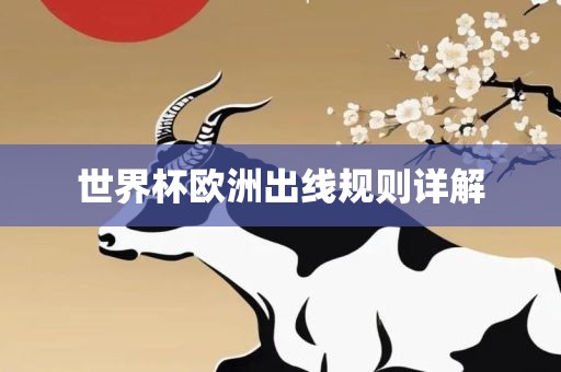 世界杯欧洲出线规则详解