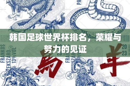 韩国足球世界杯排名，荣耀与努力的见证