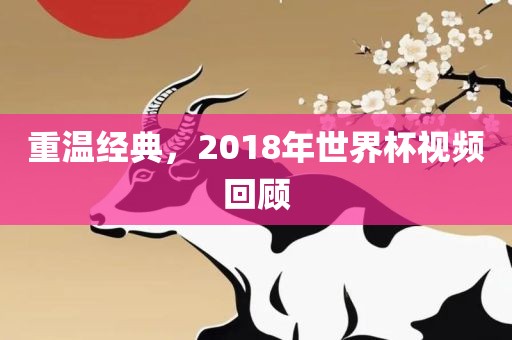 重温经典，2018年世界杯视频回顾