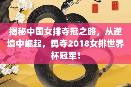 揭秘中国女排夺冠之路，从逆境中崛起，勇夺2018女排世界杯冠军！