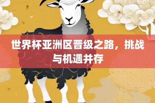 世界杯亚洲区晋级之路，挑战与机遇并存