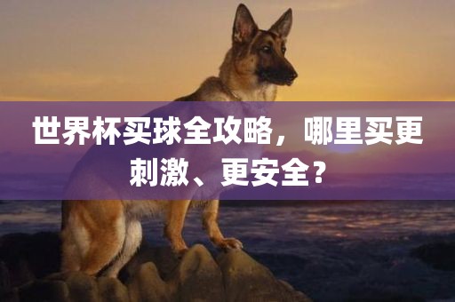 世界杯买球全攻略，哪里买更刺激、更安全？