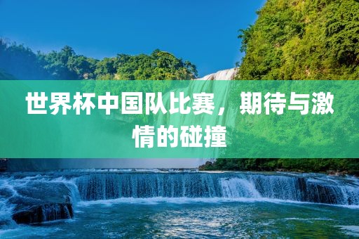 世界杯中国队比赛，期待与激情的碰撞
